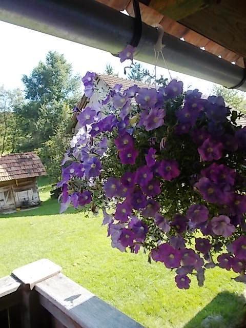 Rustic Home Mia Duga Resa Zimmer foto